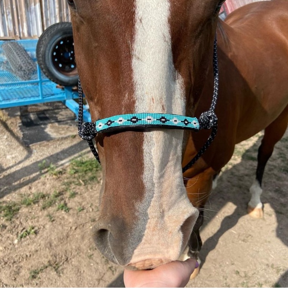 Hand beaded horse halter
